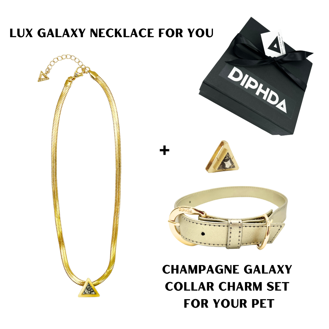 Champagne Galaxy Match Your Pet Gift Box Set